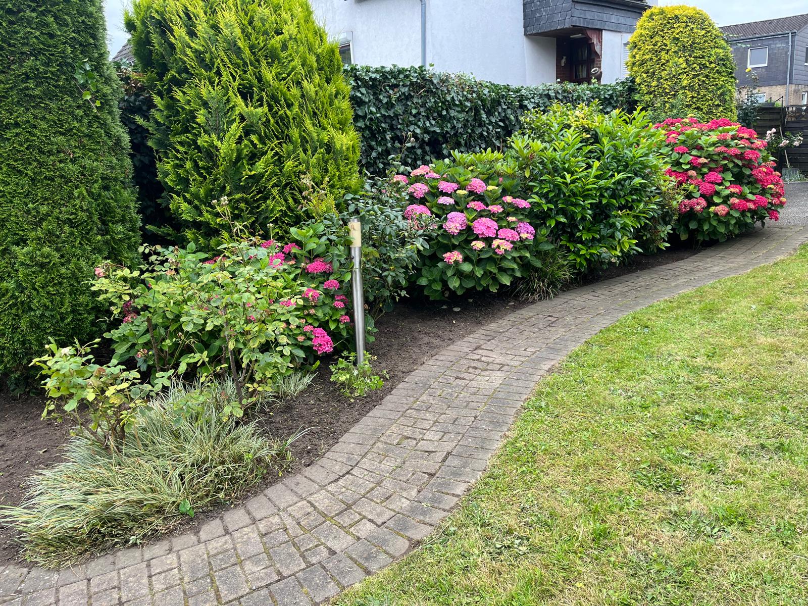 Gepflegte Hecke nach professionellem Heckenschnitt