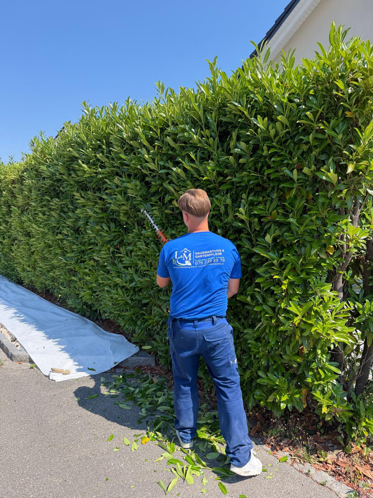L&M Hauswartung & Gartenpflege – Heckenschnitt vor Ort